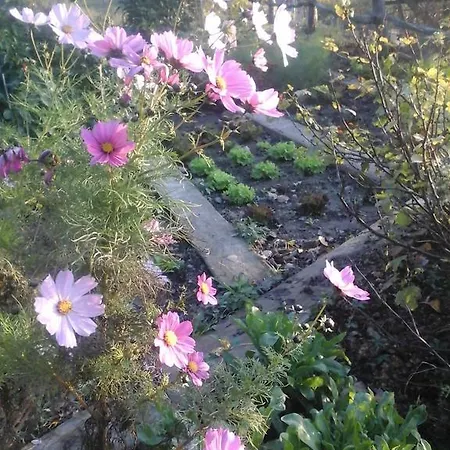 Agriturismo Monte Genesio Hotel