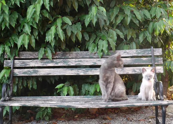 Otel Agriturismo Monte Genesio