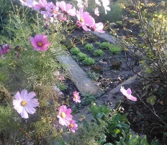 Agriturismo Monte Genesio Otel