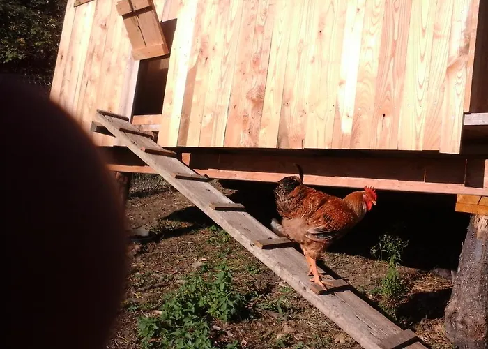 Agriturismo Monte Genesio * Medesano