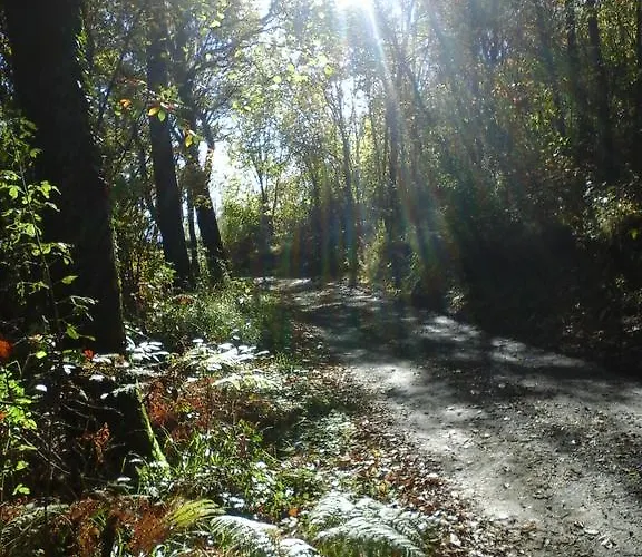 Agriturismo Monte Genesio *