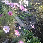 Agriturismo Monte Genesio Отель