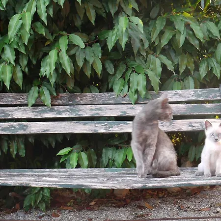 מלון Agriturismo Monte Genesio