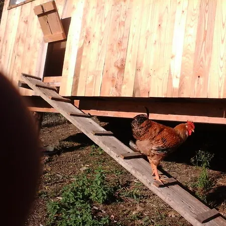 Agriturismo Monte Genesio * Medesano